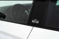 SKODA Fabia Combi